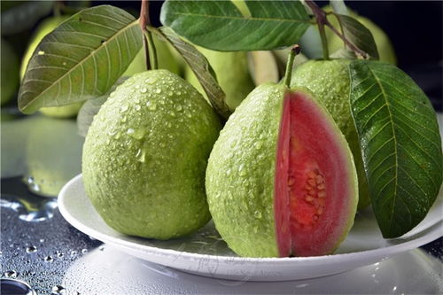 福建芭樂粉源頭直供 真如果食品工業的新鮮水果精粹